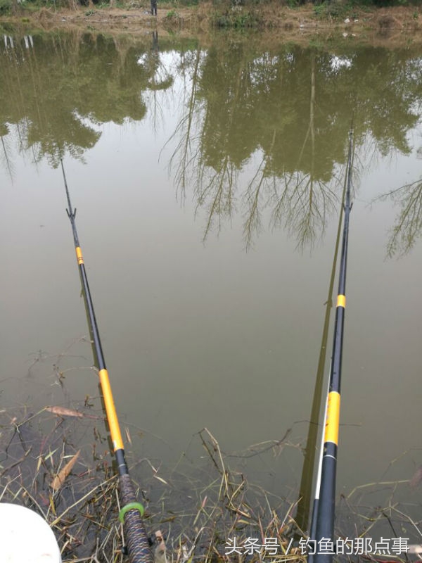 杂鱼怎么做效果最好,杂鱼加锅贴