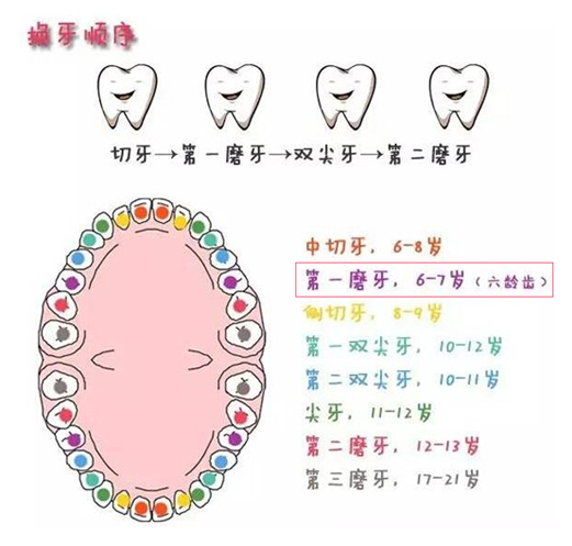 中国医科大学的口腔研究生,中国医科大学儿童口腔科