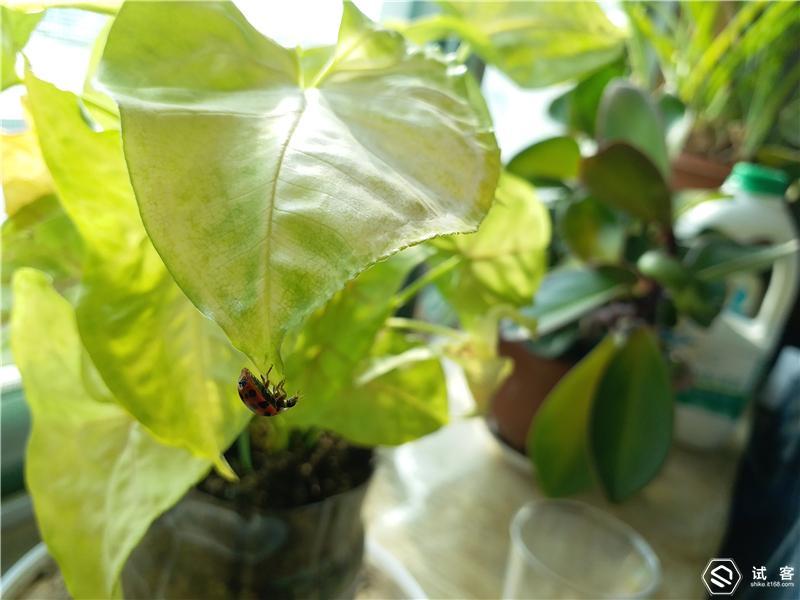 三星GalaxyC7Pro一款不断提升颜值与性能的手机