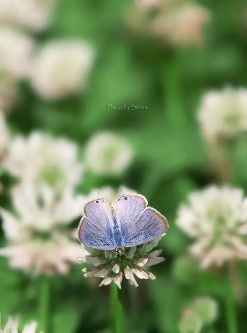 女性最关心的妇科防治知识——实用问答集锦22题