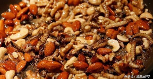 你见过用蟑螂面包虫等做的高级西餐和酒水吗？最后一个口味太重了