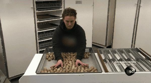 说出来你可能不信我是什么意思,说出来你可能不信是什么意思