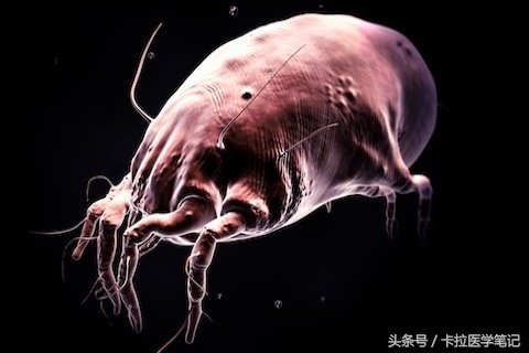 春季总是犯鼻炎或皮肤过敏，盘点10种过敏原的预防