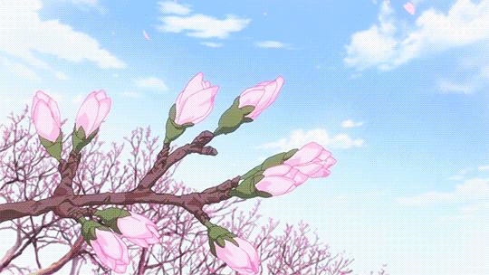 湖南赏花自驾游攻略,湖南旅游赏花攻略