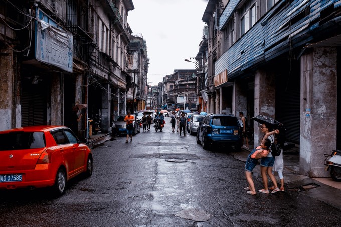 论一个吃货的自我修养小说,论一个吃货的自我修养