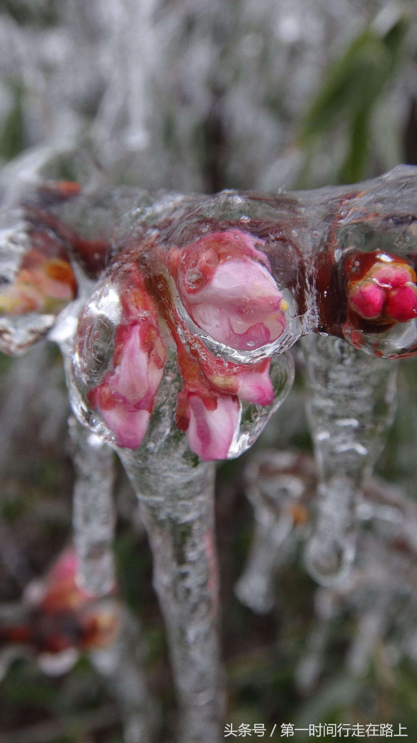张家界浪漫之地,张家界最浪漫的婚纱