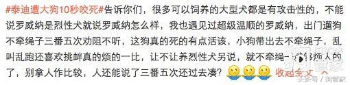 泰迪被大狗咬死了要怎么处理,泰迪狗被大白狗咬死了有什么预兆