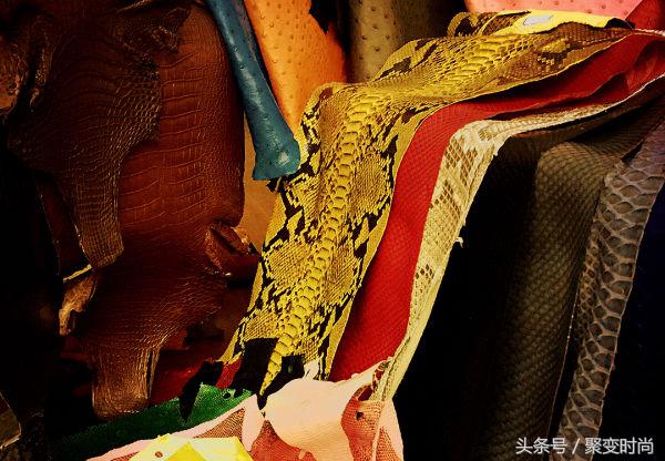 无与伦比皮肤,世界上最贵的蛇皮是什么蛇皮