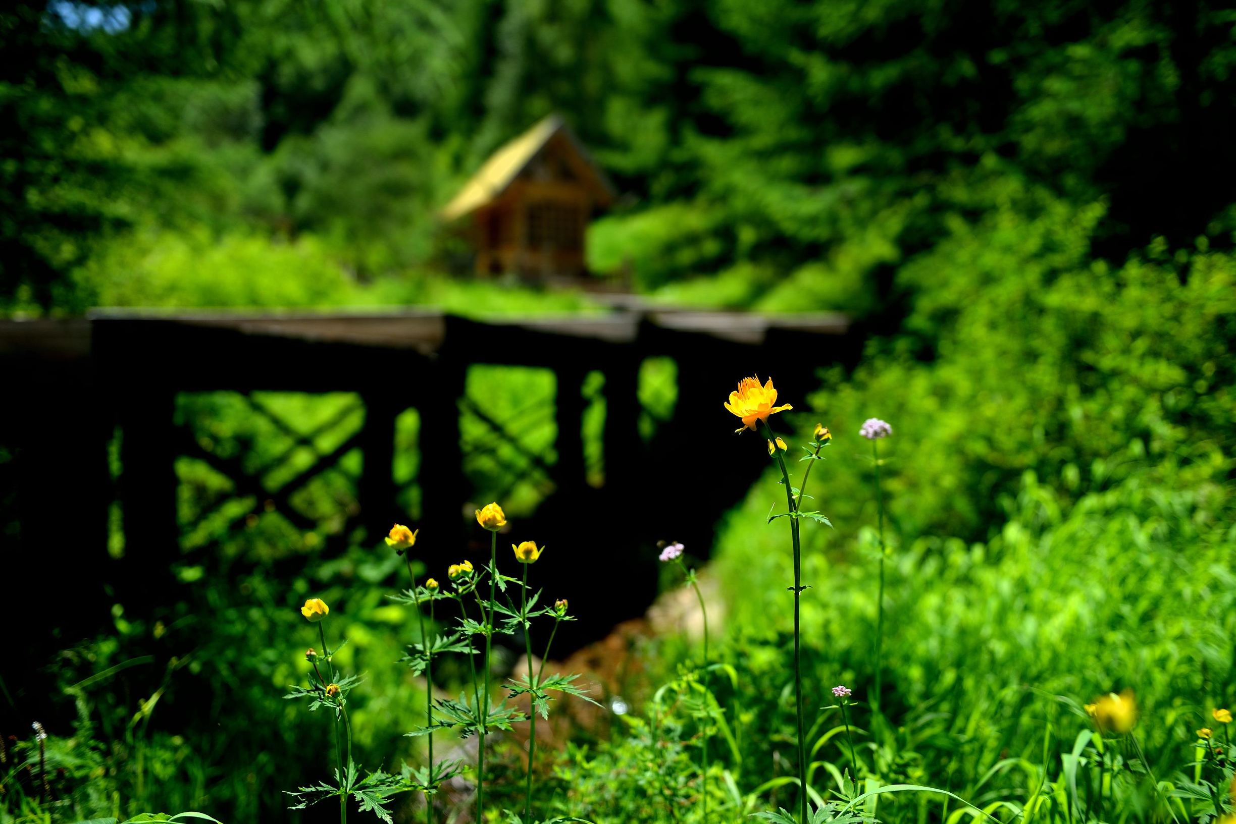 马桶堵了用马桶刷子怎么快速疏通,马桶堵了没刷子怎么快速疏通