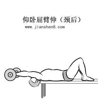 17岁高中生暑假哑铃健身计划,哑铃练全身30天新手训练计划