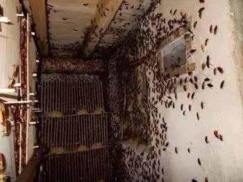 这是你们要的大长腿，备好纸巾，准备上下其手吧