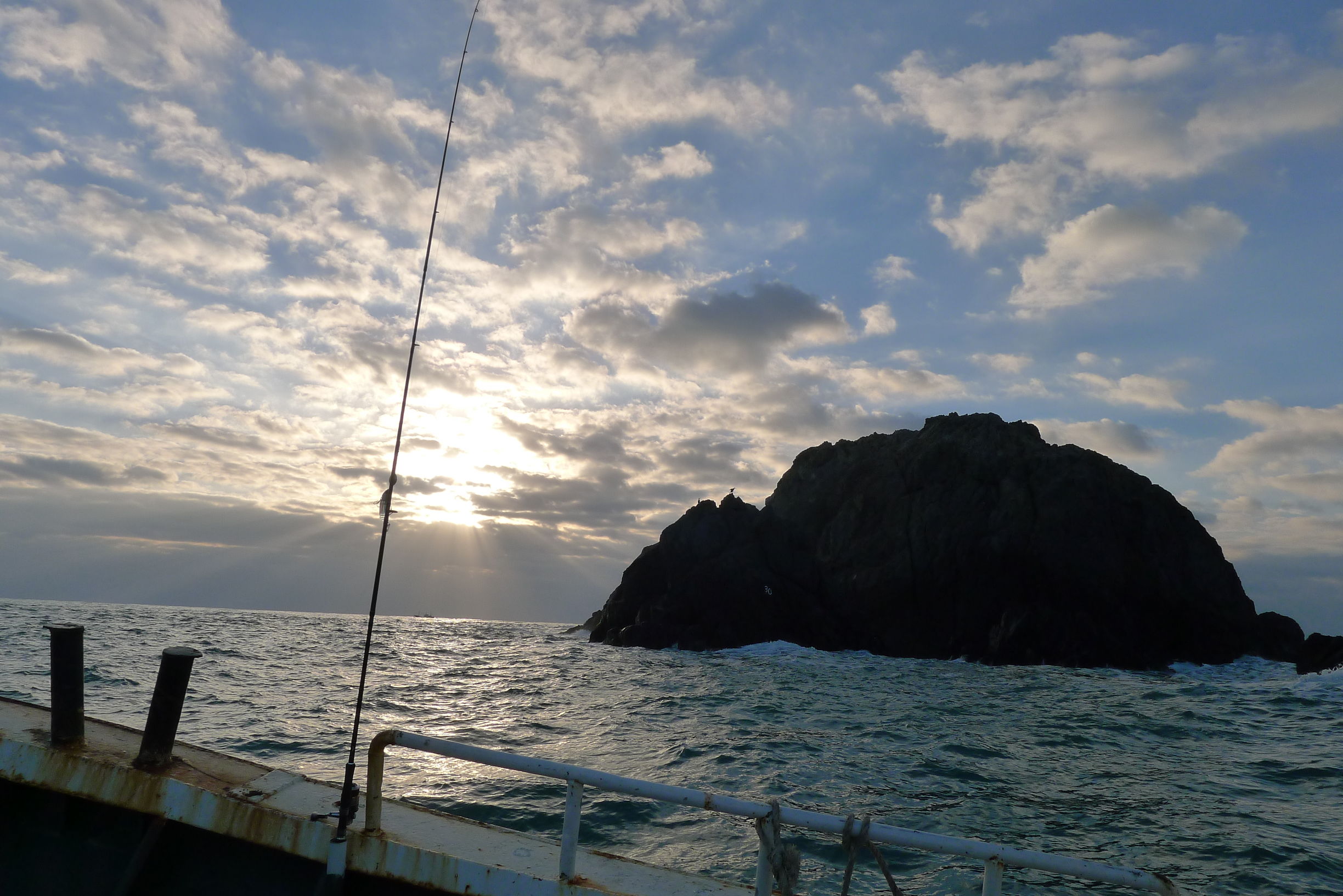 钓鱼有哪些肉食性鱼,海洋钓鱼常见鱼类