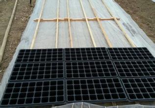 给土地盖上“电热毯”，亩均增收2000元，靠谱么？