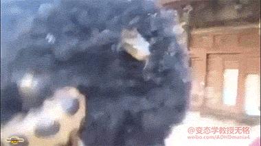 爆笑虫子和螳螂,螳螂昆虫搞笑视频