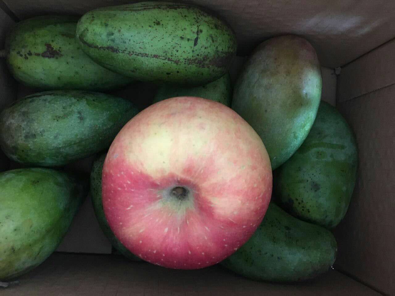 越南大青芒的最佳吃法,越南大青芒的味道