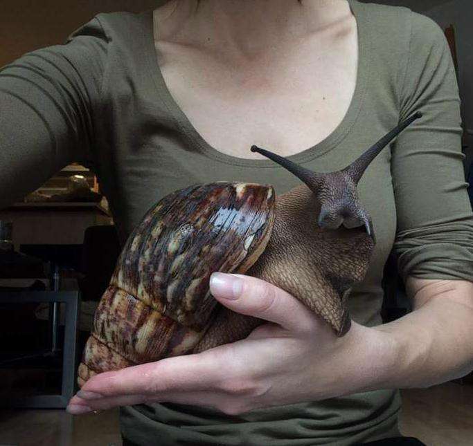 密集恐惧症怎么治疗是心理疾病吗,只要操作一样就能治好密集恐惧症