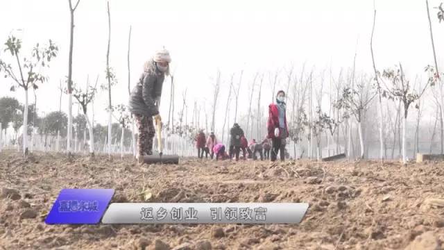 河南省永城市陈集镇望庄村时楼村,陈集镇望庄村