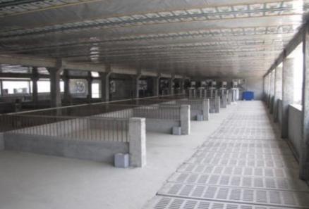 关于农村建猪舍养猪的规定,中央养猪新政策农田能建猪舍吗