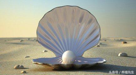 羊不吃不拉怎么回事,羊没精神不吃东西流口水肚子软