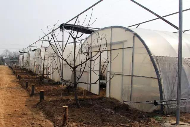 户县新西兰农场好玩吗,西安户县农场