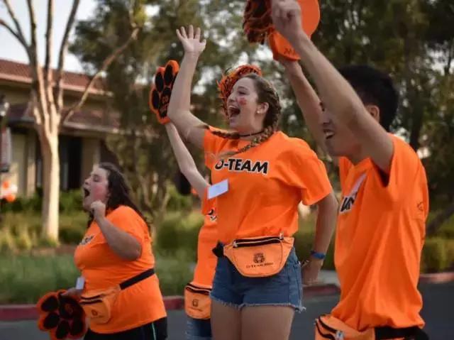 美国学费最贵前十位,美国费用最低的名校