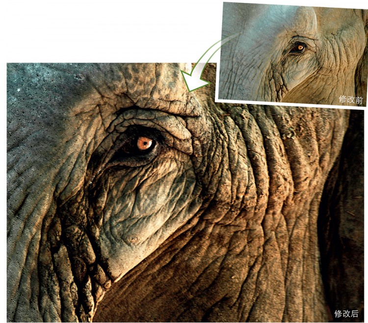 西双版纳3小时可以去哪,西双版纳五小时