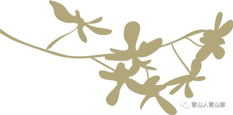 志愿者走进校园开展公益消杀,清除牛皮癣志愿者在行动意义何在