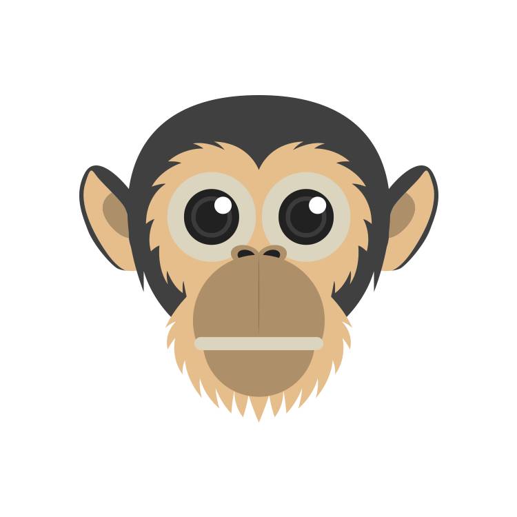 2016年是什么猴,2016年是属什么猴