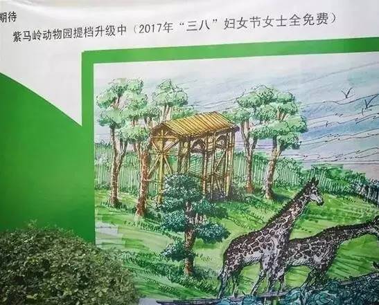 中山动物园有熊猫吗,中山公园动物园春节开放了吗