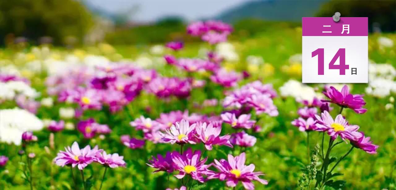 关系中山未来的重大工程要加快建设，市委书记陈如桂怎么说？｜速览