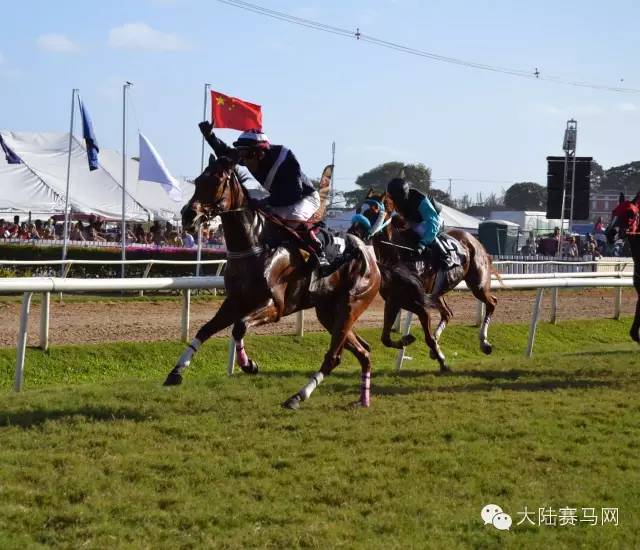 2016中国马业十大风云人物：在各自领域独领风骚影响行业