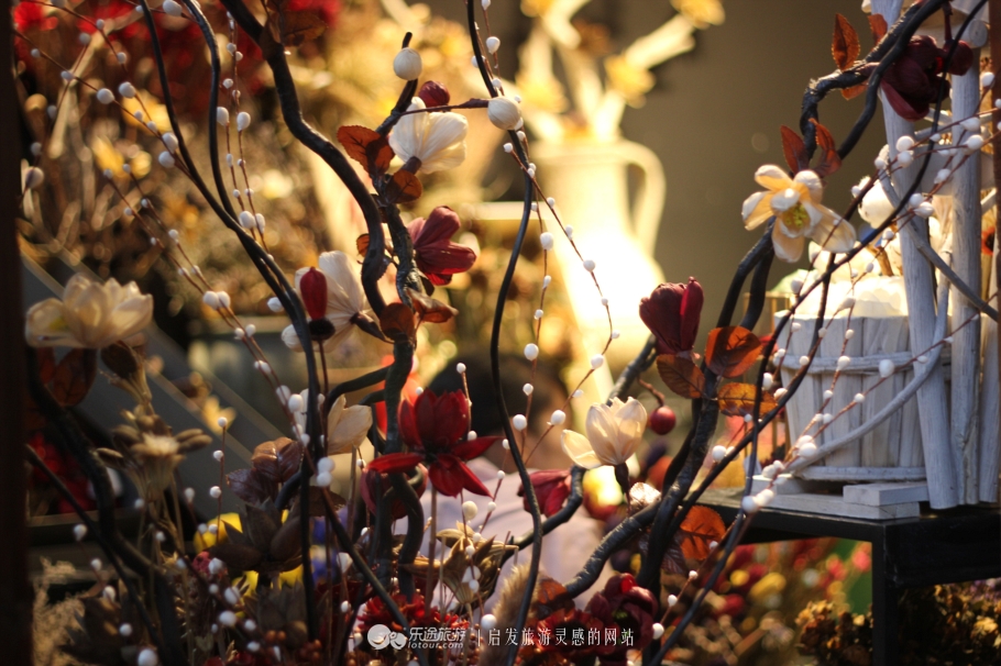 丽江古城的美丽夜景,丽江古城真的是个很美丽的地方