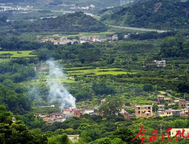 今日关注｜您好我叫从化，这是我的最新简历