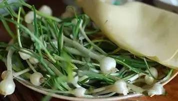 又到挖野菜的季节,又到了挖野菜的季节了是什么意思