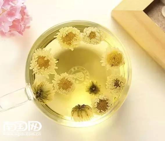 湿气重的喝什么茶护肝护肾,什么茶能护肝祛湿热