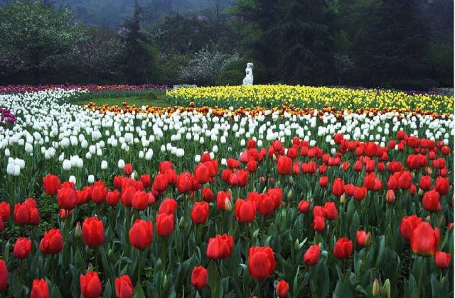 渝北哪个区发展最好,渝北人很富吗