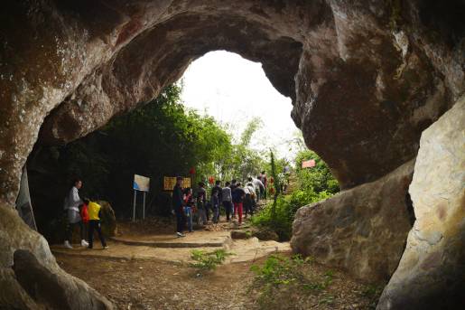 南宁游玩踏青攻略路线推荐,南宁春游赏花攻略图