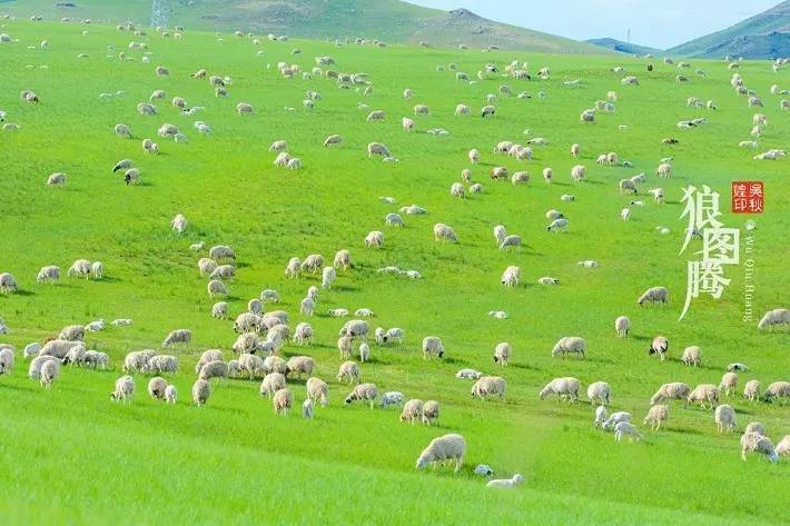 旅游景点拍照超美,十大最美旅行照