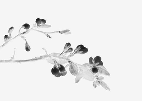 红包每天抢不完,红包抢的好少