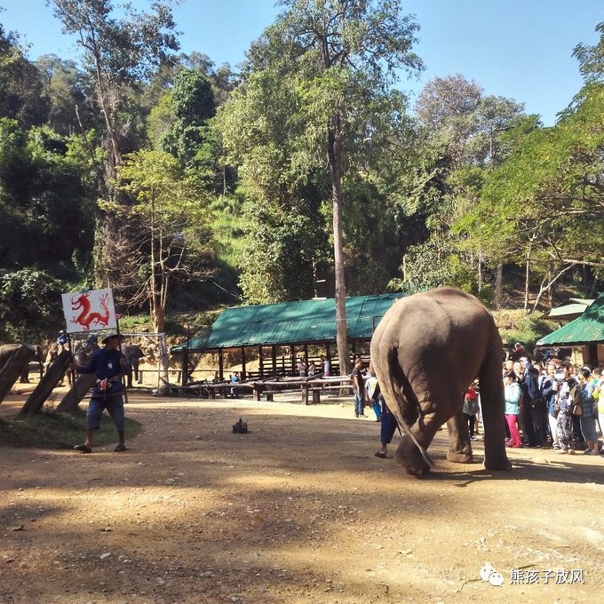 能在异国被警察抓也没谁了吧？这是我的清迈，和你去的不一样！