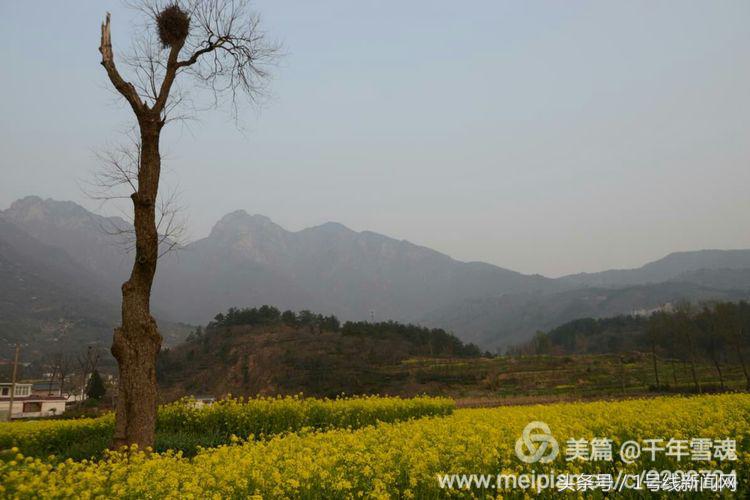 永远的余子店——文/刘宏冰