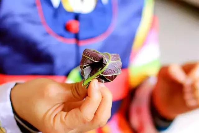 户县新西兰农场好玩吗,西安户县农场