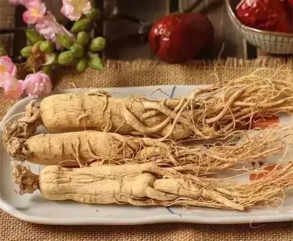 刘虎岐:想要种中草药赚钱,你先得了解它们!