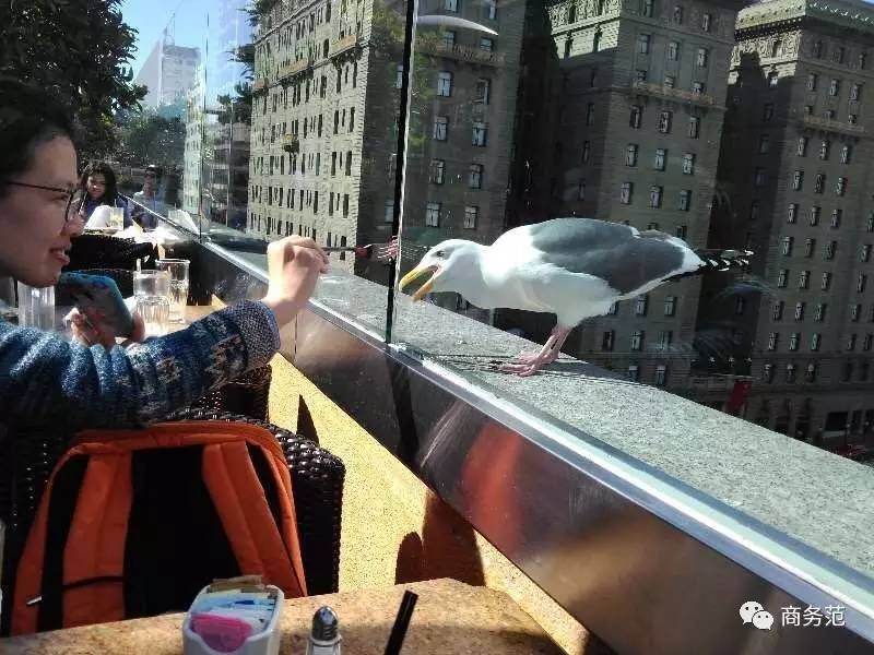 分享自己收到最难忘的礼物,分享出你买过最后悔的东西