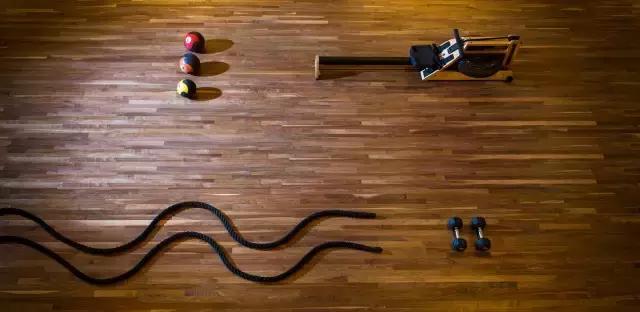 你胖并不是因为懒,你的胖是因为懒吗