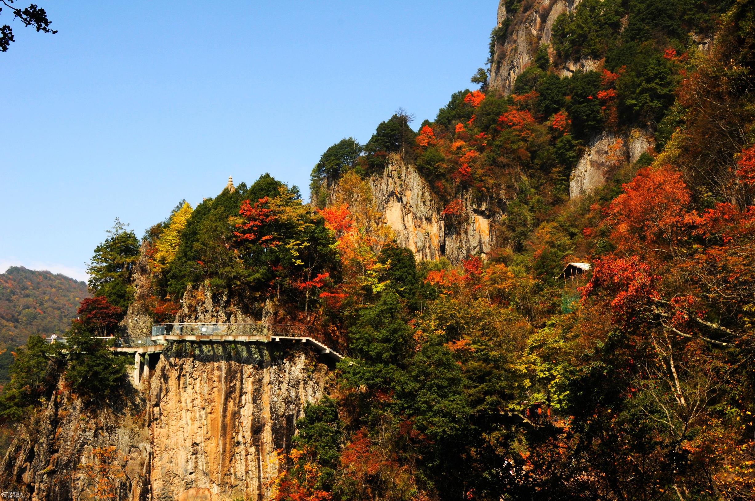 安康籍著名影视演员张嘉译,陕西知名演员张嘉译