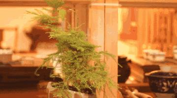 来去不由人聚散皆是缘,往来皆过客天地是知音