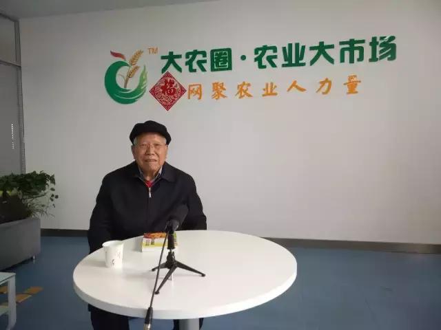 肉羊养殖哪些品种比较好,我国北方最小的肉羊品种