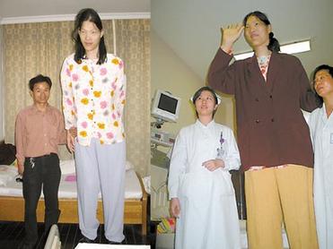 中国十大巨人简介,中国十大巨人公司