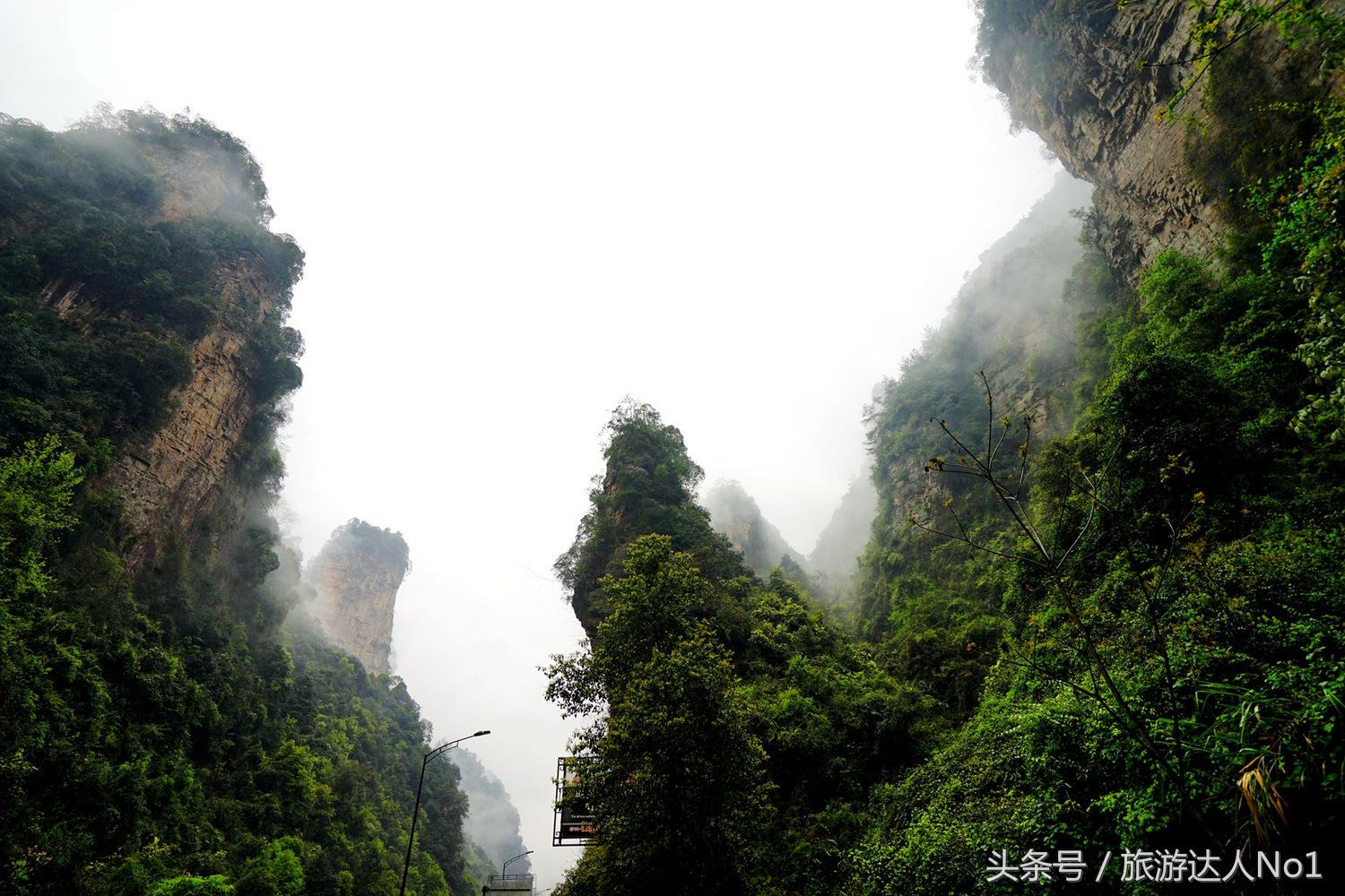 游记张家界8天旅游详细攻略,张家界天门山森林公园美景游记